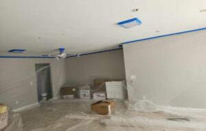 Professional Painting Services